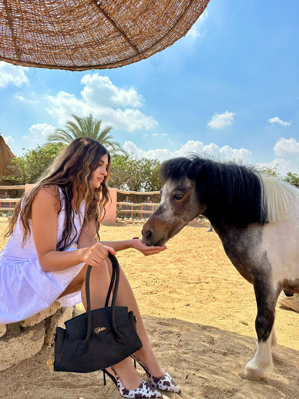 The Elythra in Ostrich Design — lifestyle, black smooth leather